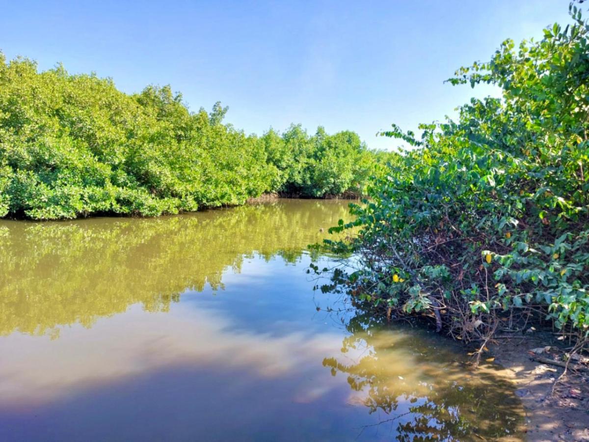 Mangrove Beach Sanyang Екстер'єр фото