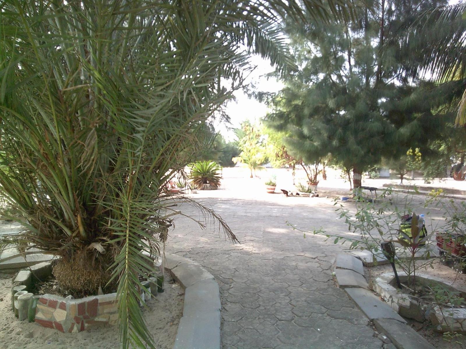 Mangrove Beach Sanyang Екстер'єр фото