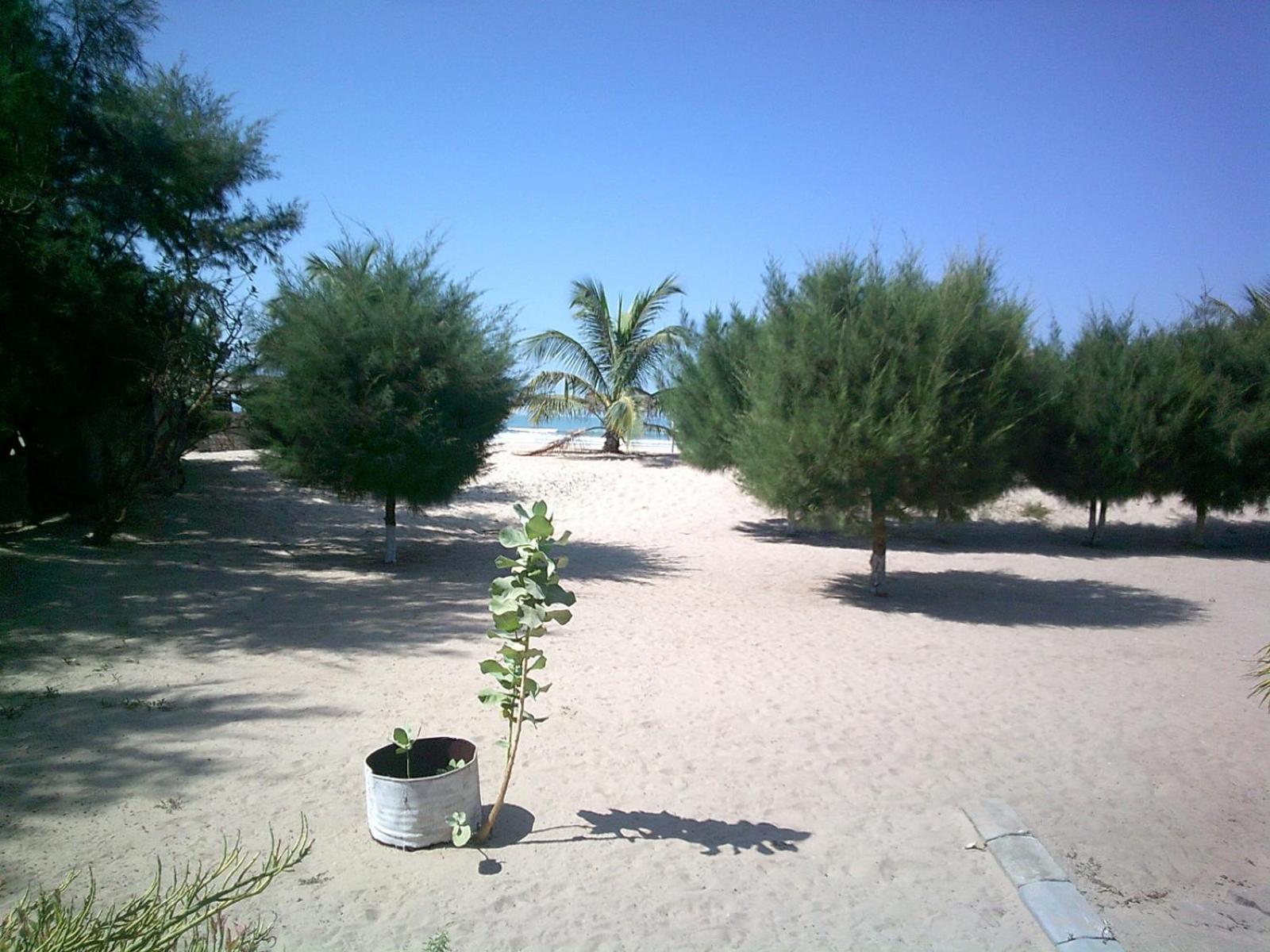 Mangrove Beach Sanyang Екстер'єр фото
