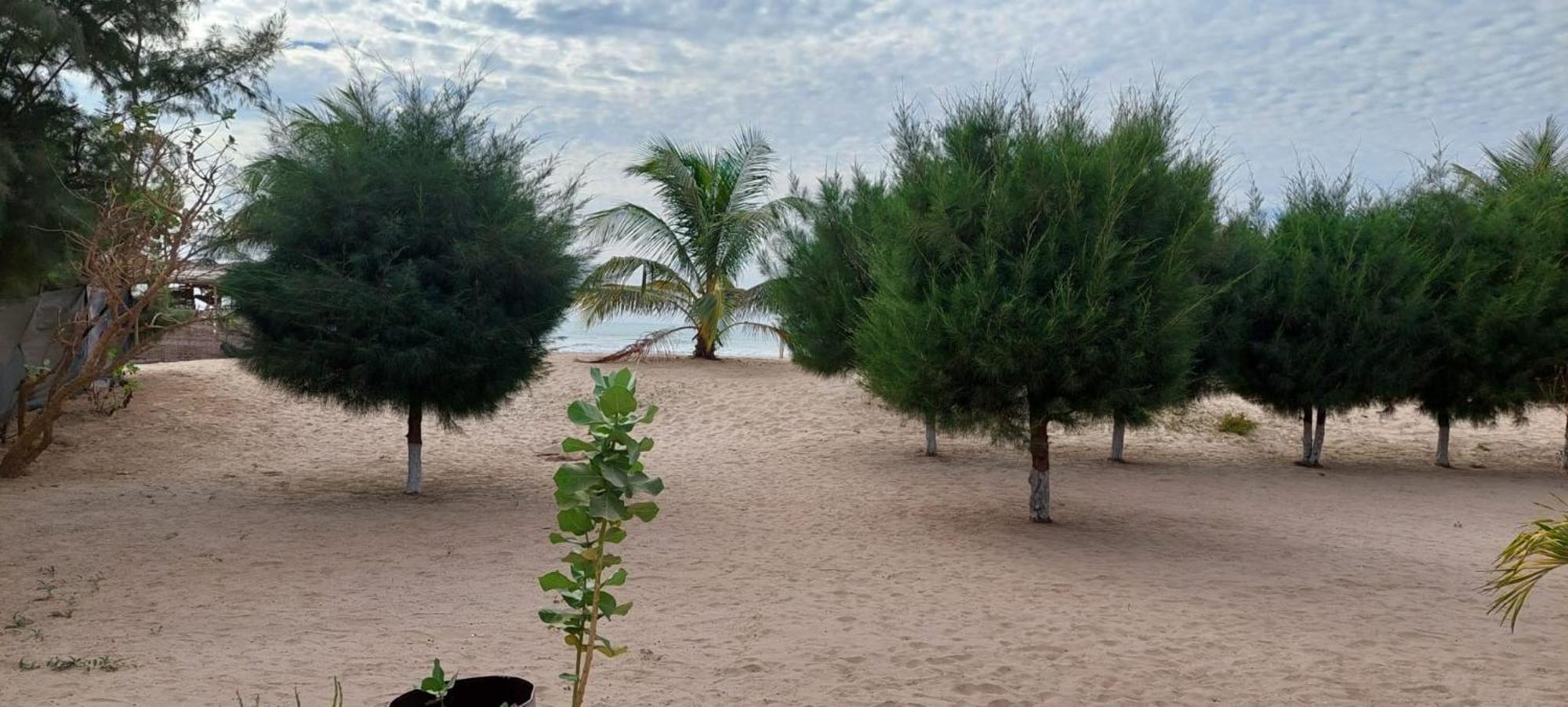 Mangrove Beach Sanyang Екстер'єр фото