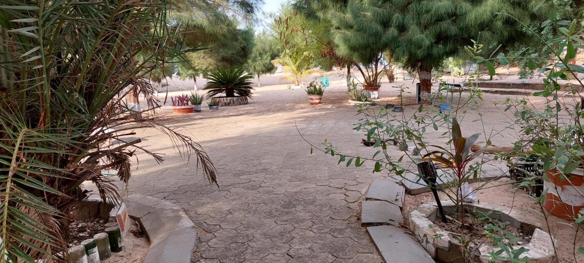 Mangrove Beach Sanyang Екстер'єр фото
