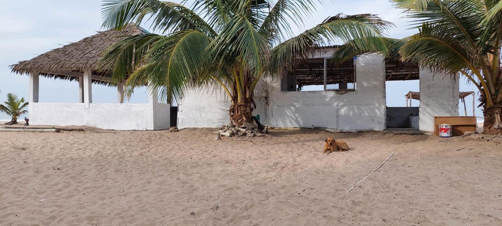 Mangrove Beach Sanyang Екстер'єр фото